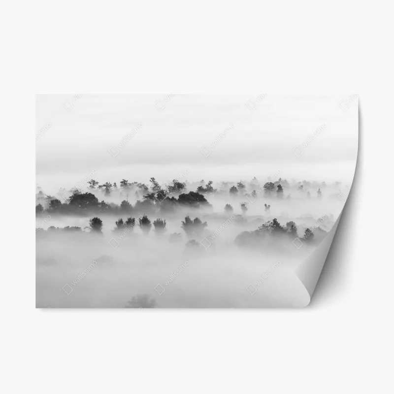 Repositionable sticker mist-covered forest in monochrome