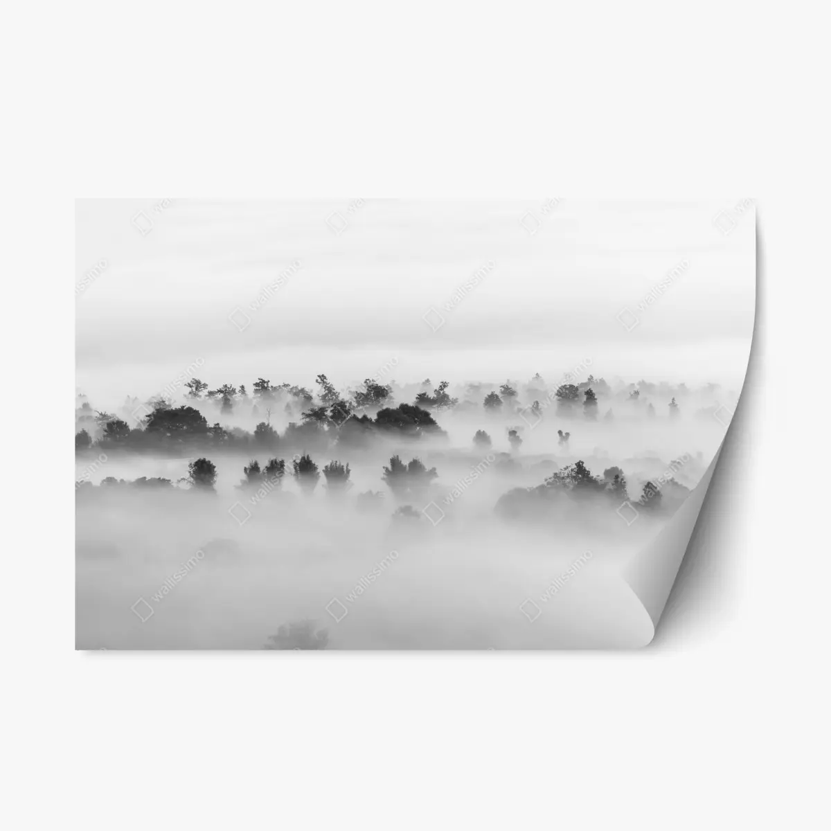 Repositionable sticker mist-covered forest in monochrome • Wallissimo® Repositionable sticker mist-covered forest in monochrome • Wallissimo®