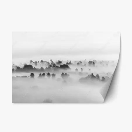 Repositionable sticker mist-covered forest in monochrome • Wallissimo®