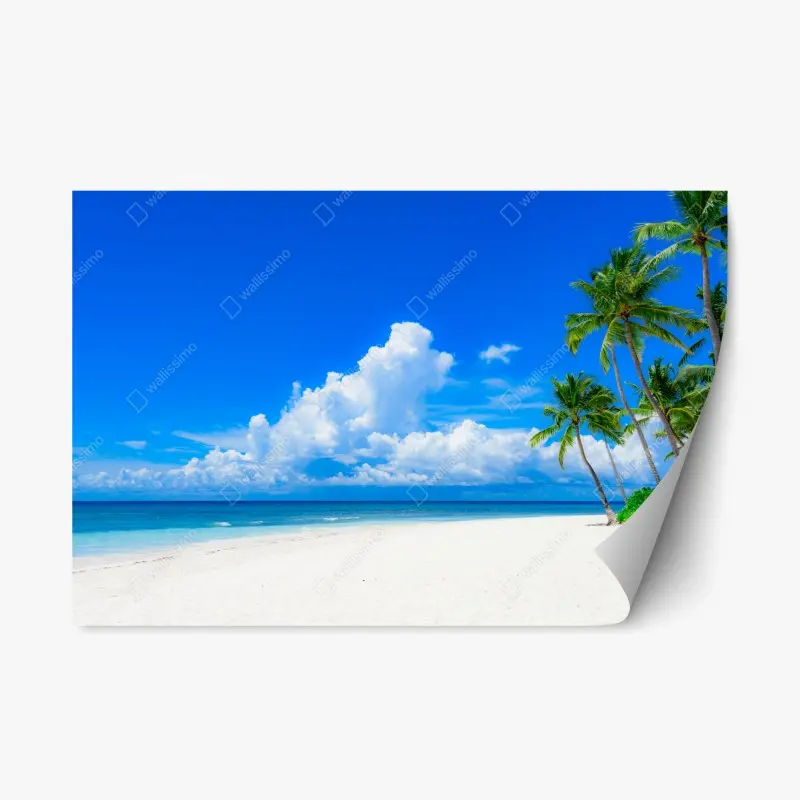 Repositionable sticker tropical palm beach under blue sky