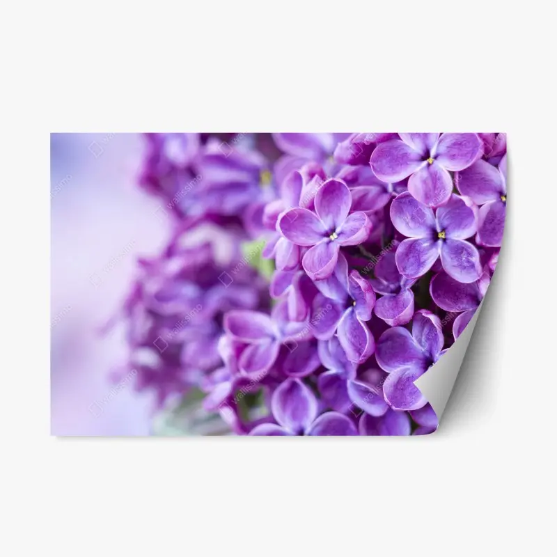 Repositionable sticker tropical palm beach paradise • Wallissimo®