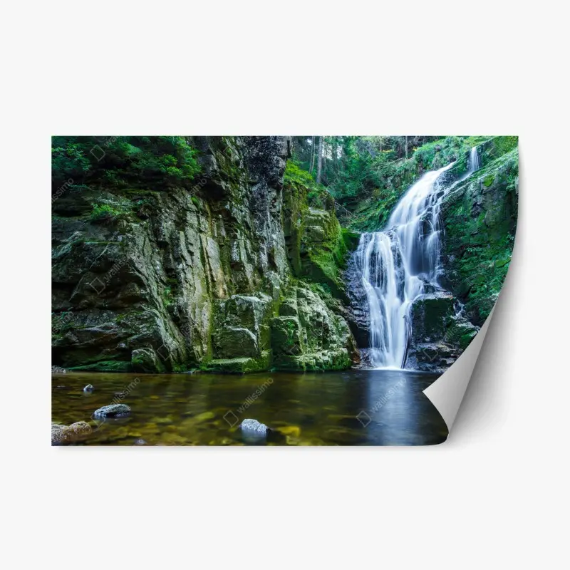 Repositionable sticker • Wallissimo®