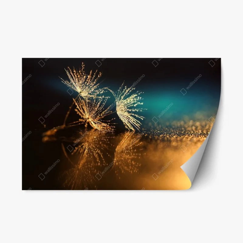 Repositionable sticker golden dandelion seed reflection