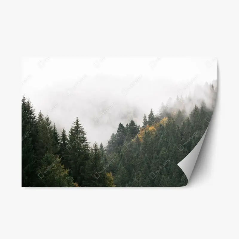 Repositionable sticker sunrise over Lofoten red cabins • Wallissimo®