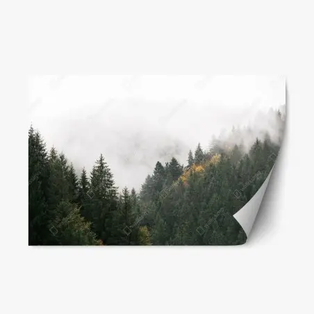 Repositionable sticker misty mountain forest with fog • Wallissimo®