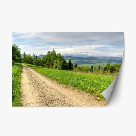 Repositionable sticker Gorce Mountains spring trail • Wallissimo®