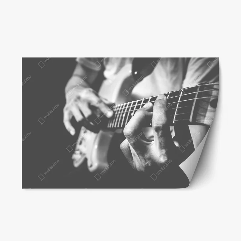 Repositionable sticker monochrome guitar close-up