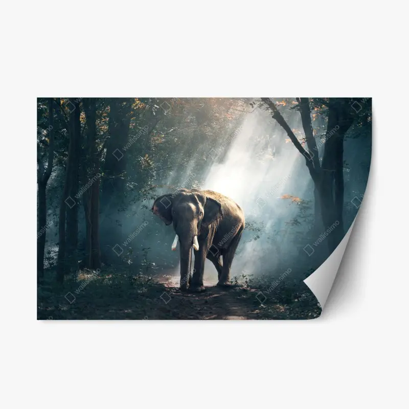 Repositionable sticker • Wallissimo®