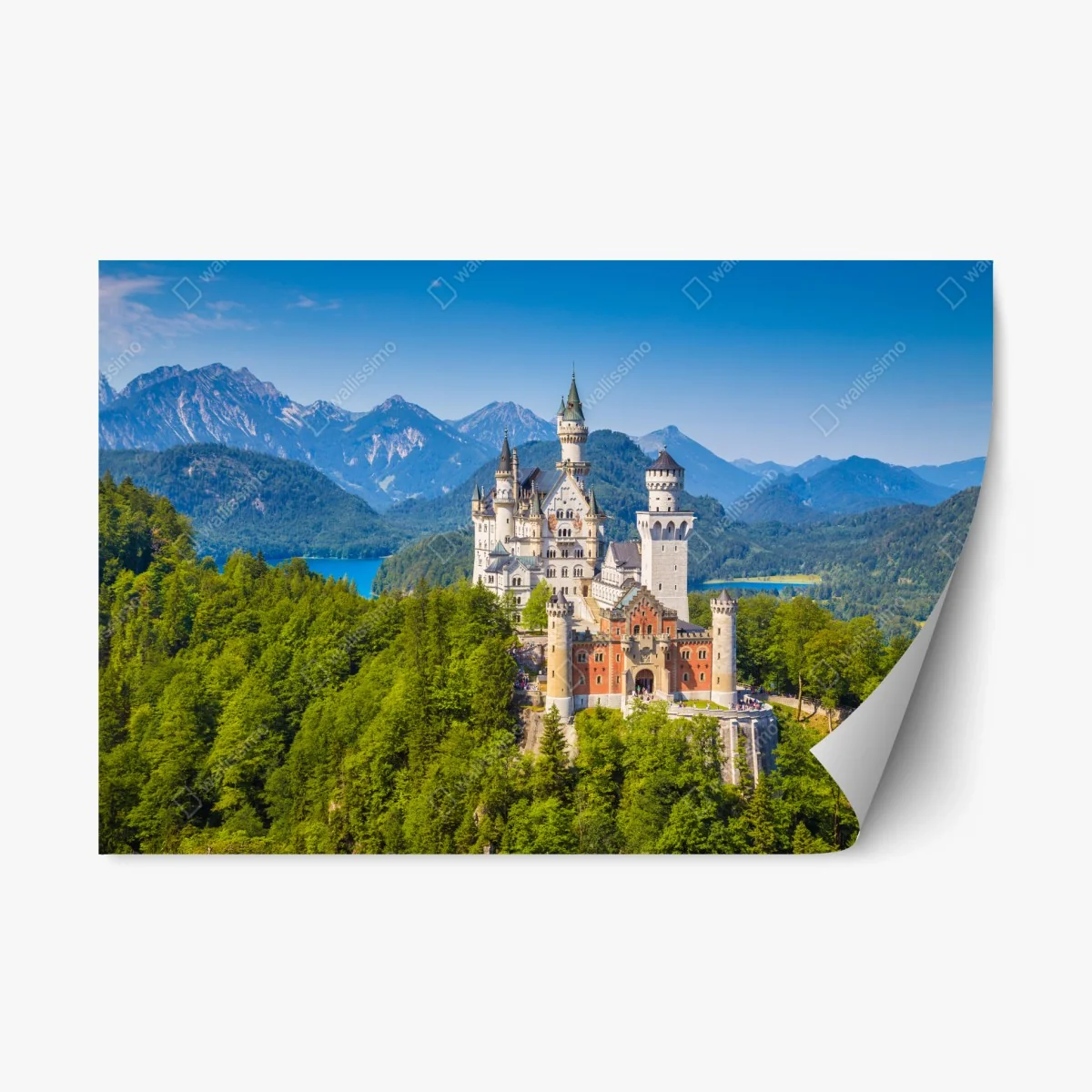 Repositionable sticker Neuschwanstein castle in alpine landscape ⁕ Wallissimo® Repositionable sticker Neuschwanstein castle in alpine landscape ⁕ Wallissimo®