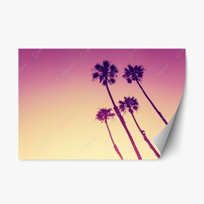 Repositionable sticker California palms at Sunset Cliffs