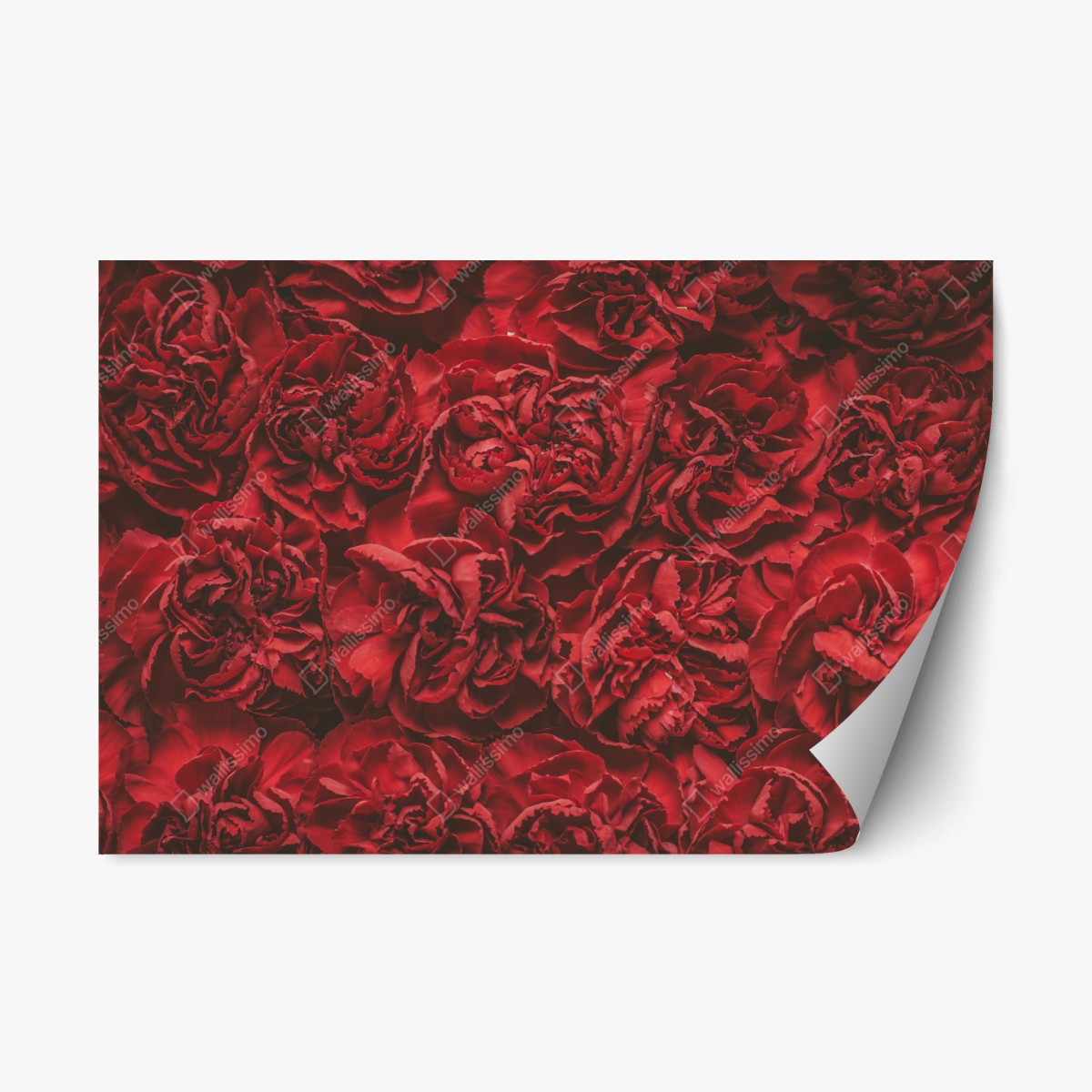 Repositionable sticker vintage red carnation floral pattern • Wallissimo® Repositionable sticker vintage red carnation floral pattern • Wallissimo®