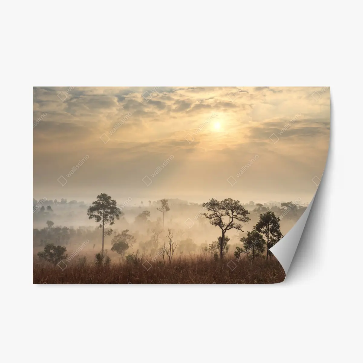 Repositionable sticker Thailand savanna sunrise • Wallissimo® Repositionable sticker Thailand savanna sunrise • Wallissimo®