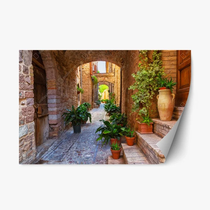 Repositionable sticker sunlit alley with potted plants in Spello