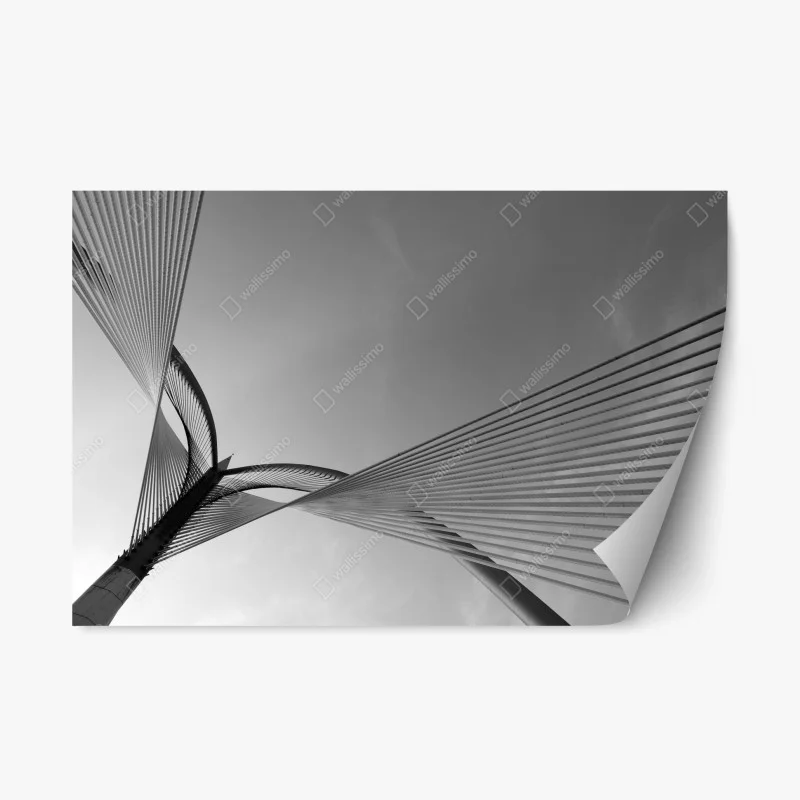 Repositionable sticker monochrome cable bridge lines