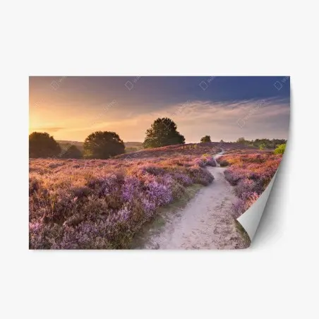 Repositionable sticker Posbank sunrise heather path • Wallissimo®