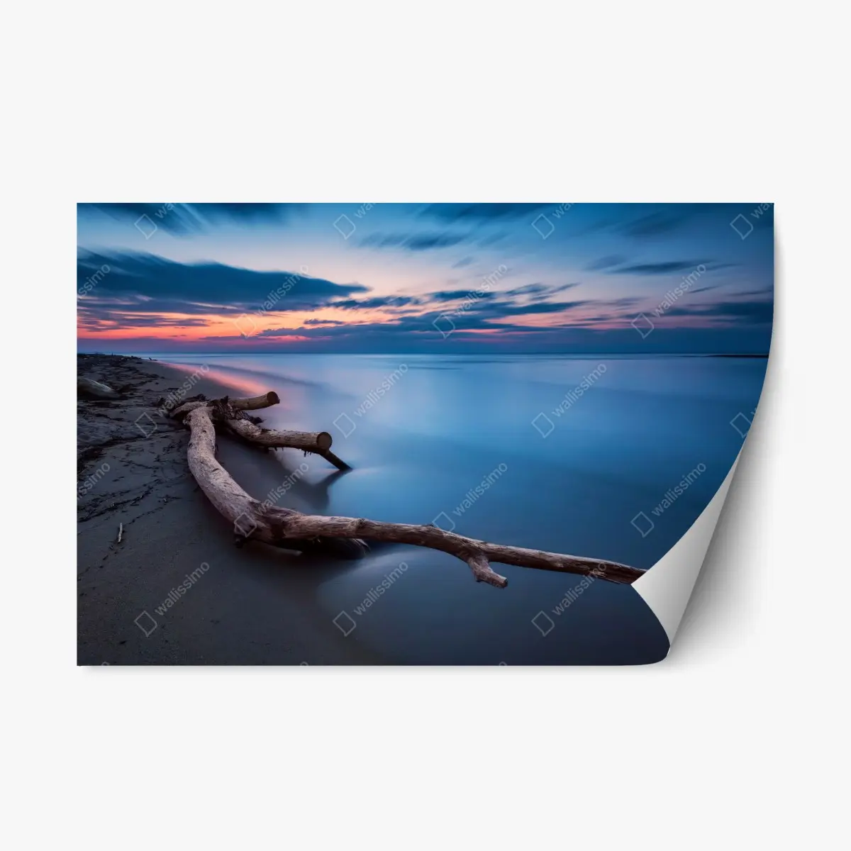 Repositionable sticker twilight driftwood on a calm beach • Wallissimo® Repositionable sticker twilight driftwood on a calm beach • Wallissimo®