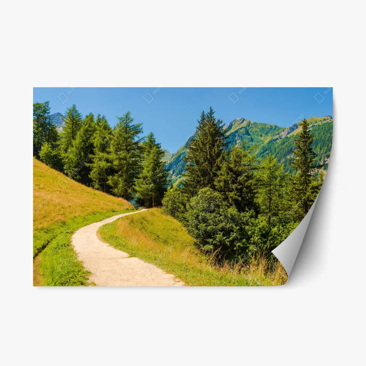 Repositionable sticker Swiss Alps summer mountain trail • Wallissimo® Repositionable sticker Swiss Alps summer mountain trail • Wallissimo®