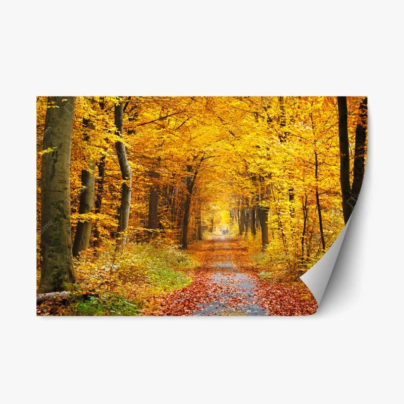 Repositionable sticker golden autumn forest pathway
