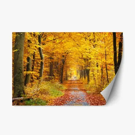 Repositionable sticker golden autumn forest pathway • Wallissimo®