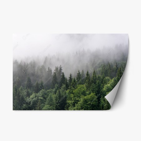 Repositionable sticker misty evergreen forest panorama • Wallissimo®