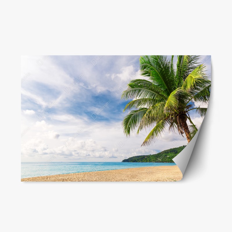 Repositionable sticker tropical beach in Phuket with palm tree