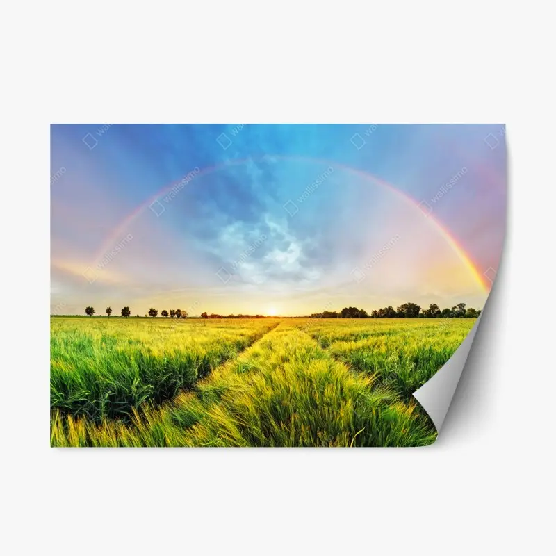 Repositionable sticker rainbow over golden wheat field at sunset