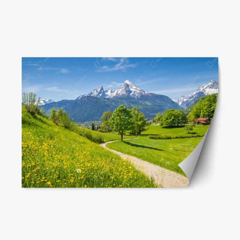 Repositionable sticker alpine spring meadow with snow-capped peaks