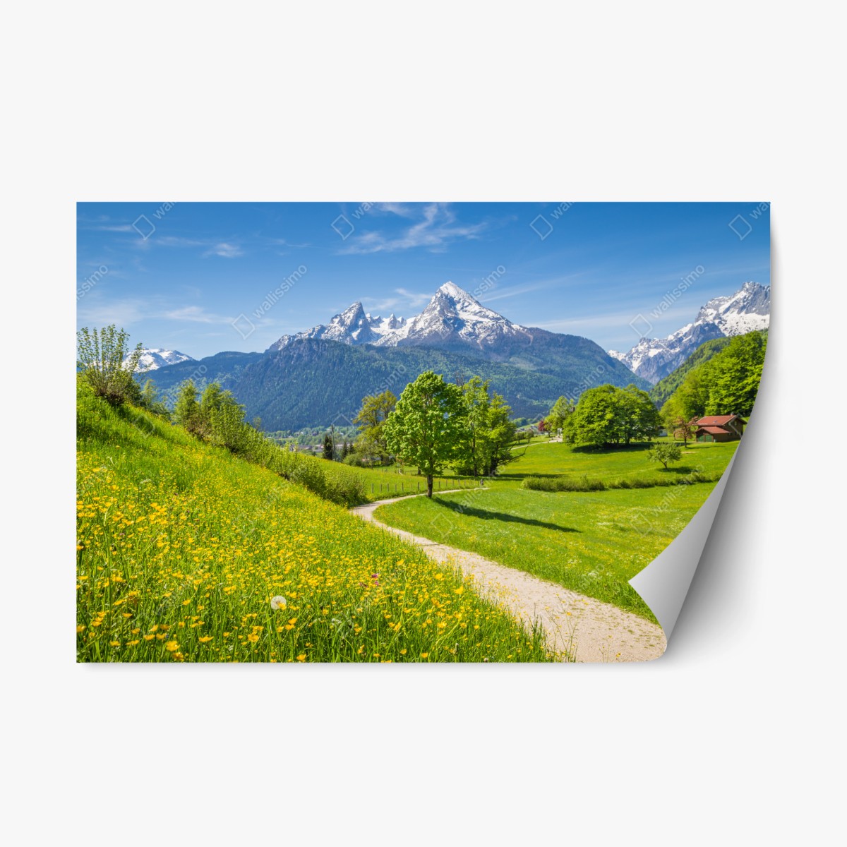 Repositionable sticker alpine spring meadow with snow-capped peaks • Wallissimo® Repositionable sticker alpine spring meadow with snow-capped peaks • Wallissimo®