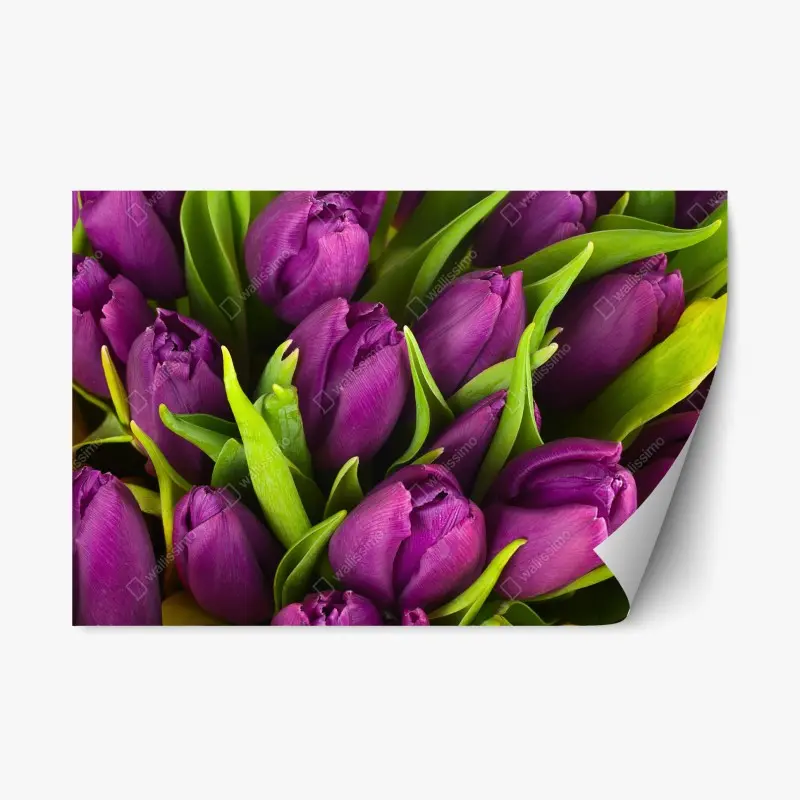 Repositionable sticker sunny flower-filled courtyard with green doors • Wallissimo®