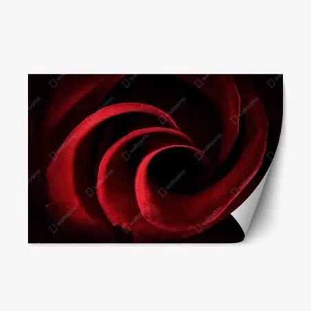 Repositionable sticker deep red rose petal spiral • Wallissimo®