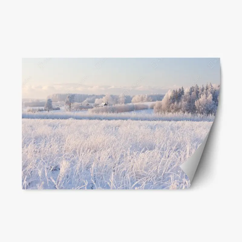 Repositionable sticker frosted winter meadow at dawn
