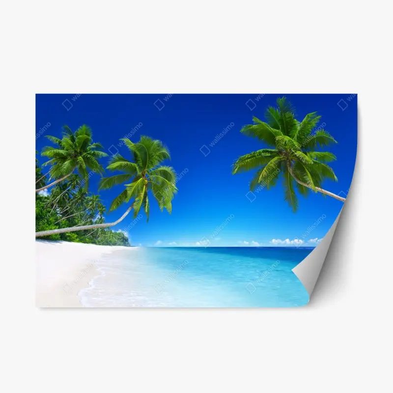 Repositionable sticker tropical beach paradise with palm trees