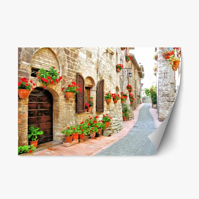 Repositionable sticker sunlit stone alley with red geraniums