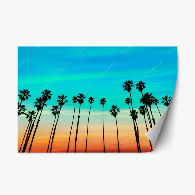 Repositionable sticker California sunset palm silhouettes