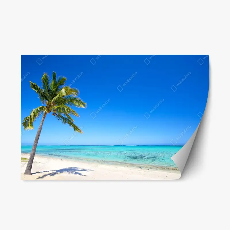 Repositionable sticker tropical paradise beach with palm tree