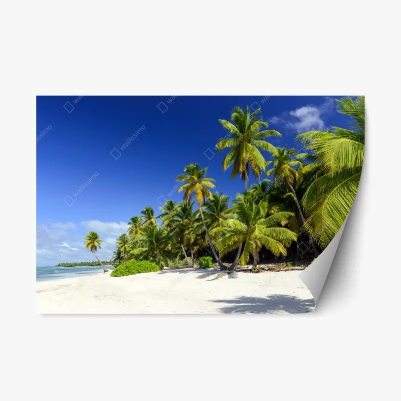 Repositionable sticker serene Punta Cana tropical beach