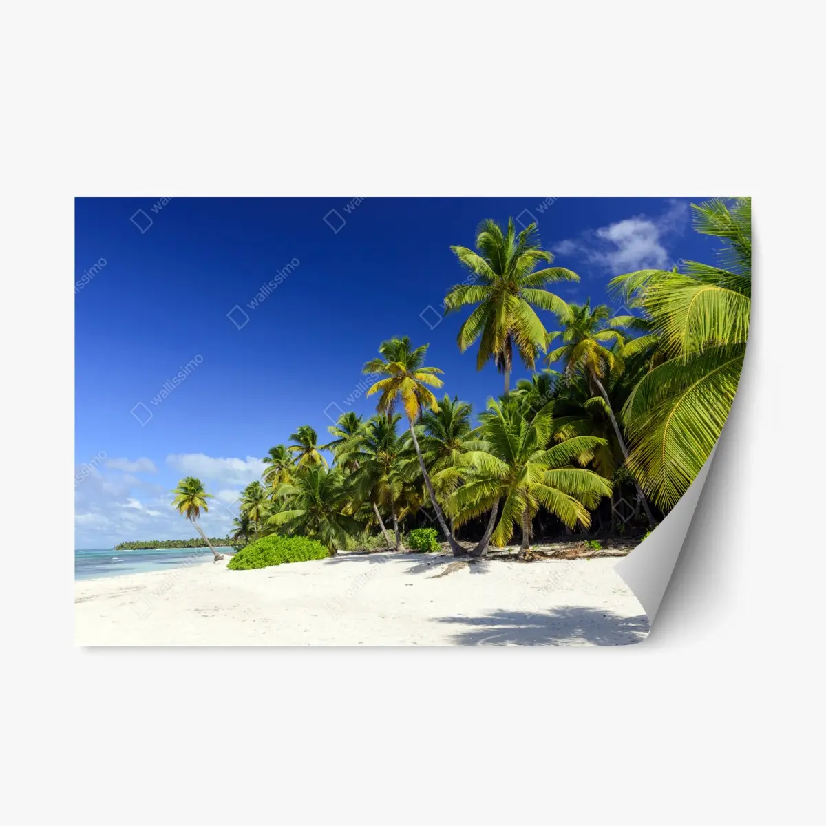 Repositionable sticker serene Punta Cana tropical beach • Wallissimo® Repositionable sticker serene Punta Cana tropical beach • Wallissimo®
