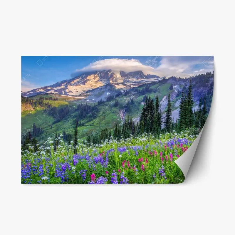 Repositionable sticker alpine wildflower meadow beneath snow-capped mountain ⁕ Wallissimo®