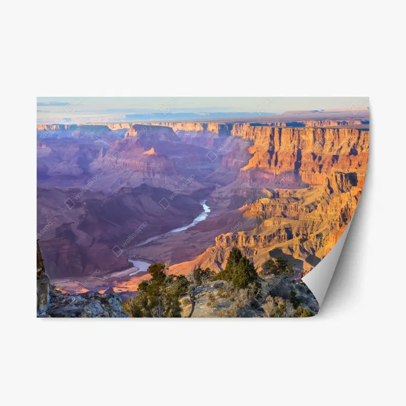 Repositionable sticker • Wallissimo®