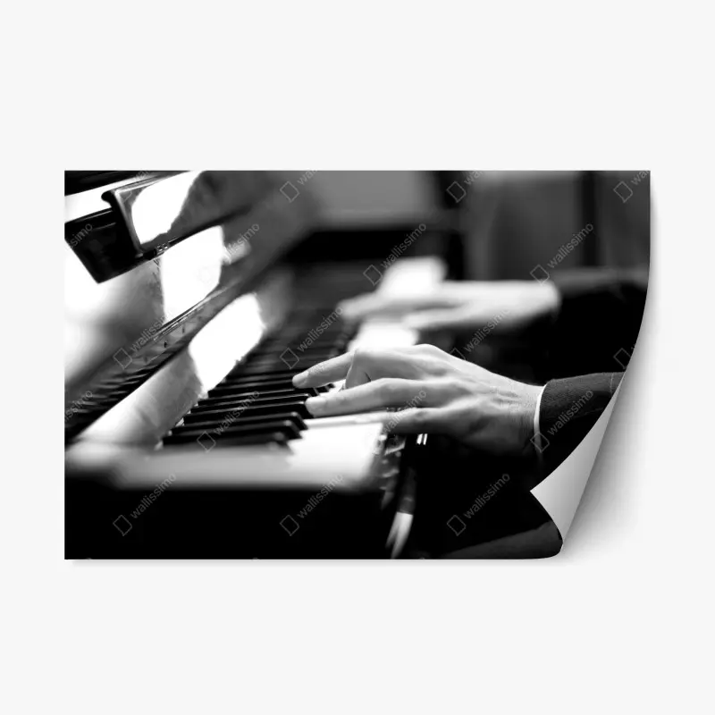 Repositionable sticker intimate piano hands in monochrome