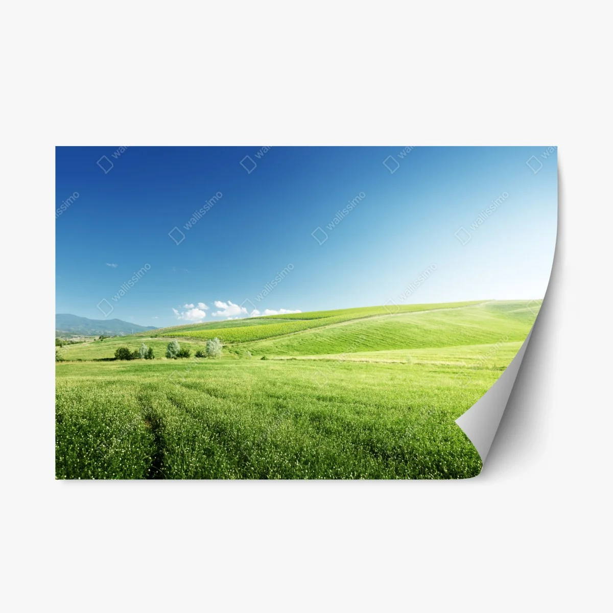 Repositionable sticker tranquil green meadow landscape • Wallissimo® Repositionable sticker tranquil green meadow landscape • Wallissimo®