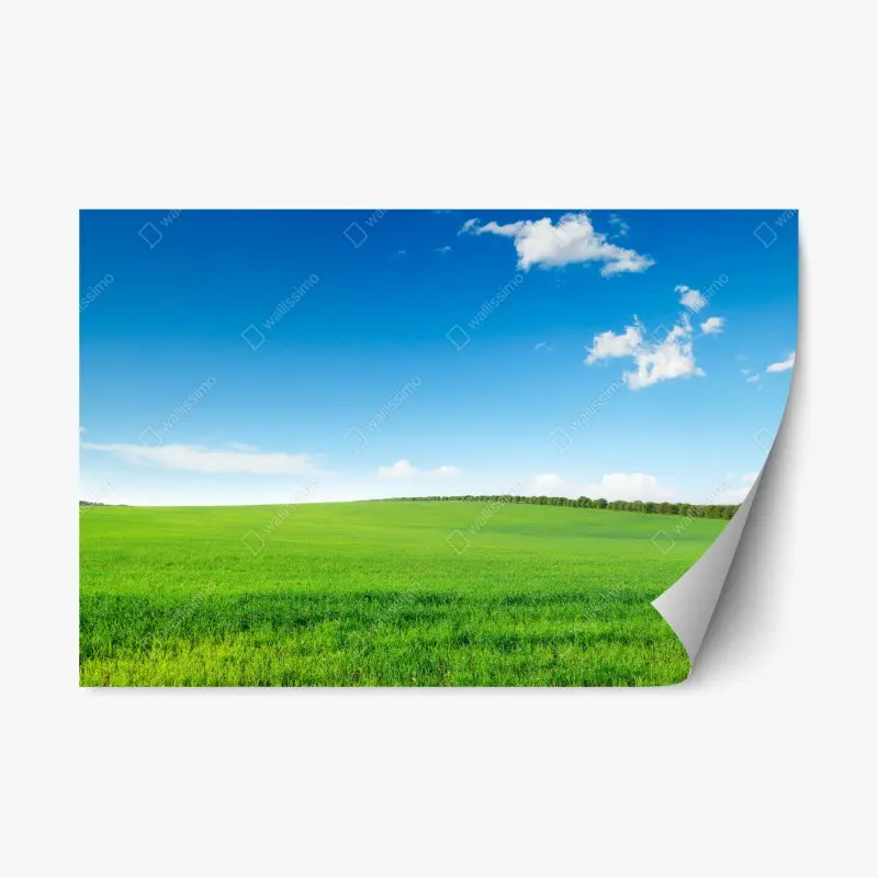Repositionable sticker serene green meadow under blue sky