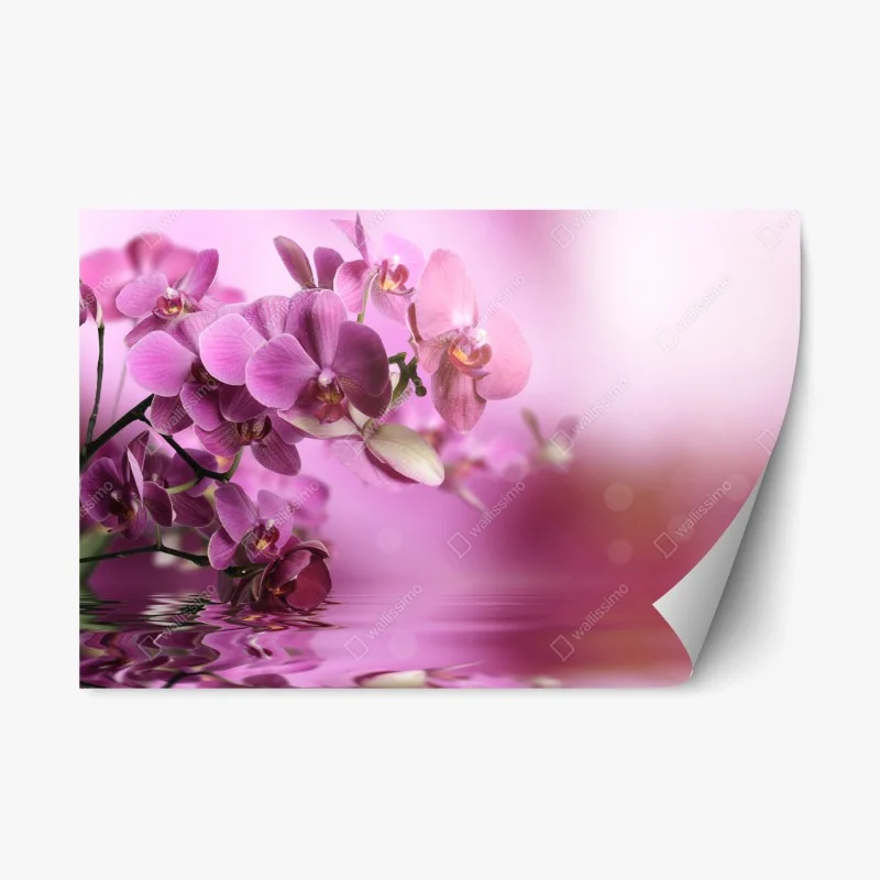 Repositionable sticker pink orchid reflections