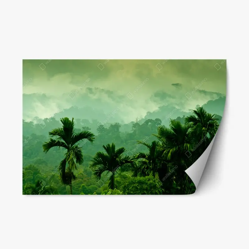 Repositionable sticker misty tropical jungle landscape