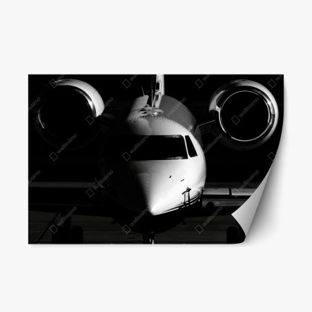 Repositionable sticker monochrome private jet front view • Wallissimo®