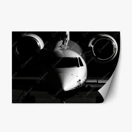 Repositionable sticker monochrome private jet front view • Wallissimo®