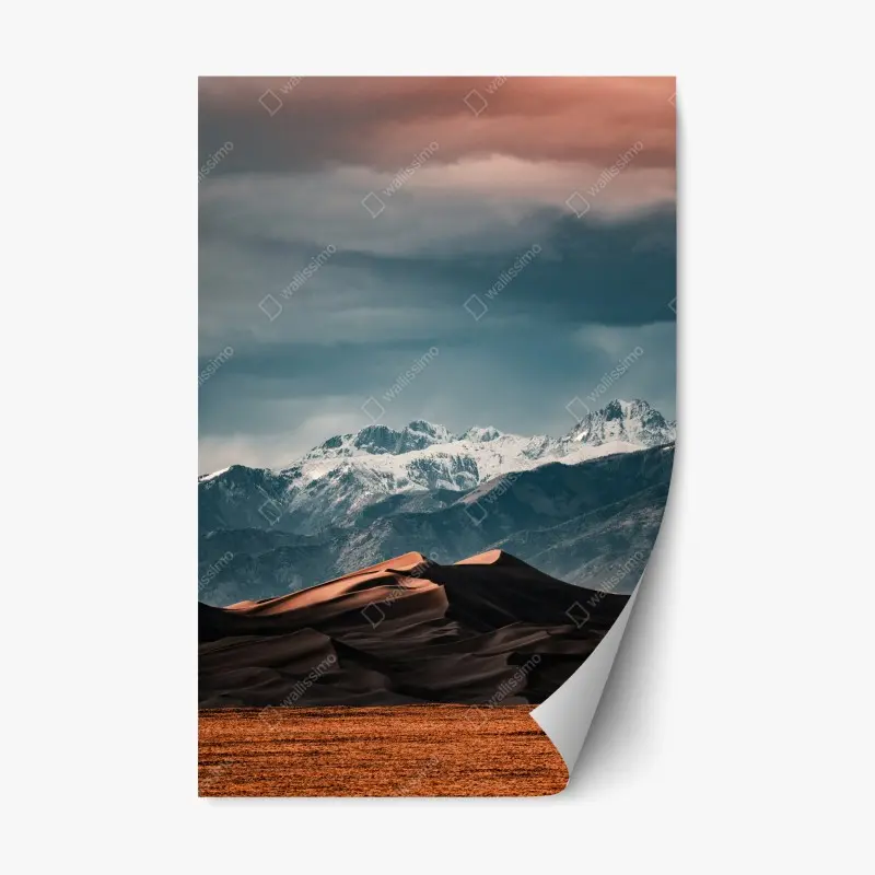 Repositionable sticker tropical monstera leaf pattern • Wallissimo®