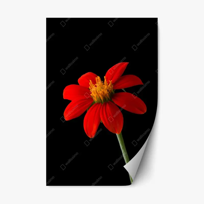 Repositionable sticker neon sunset boulevard • Wallissimo®