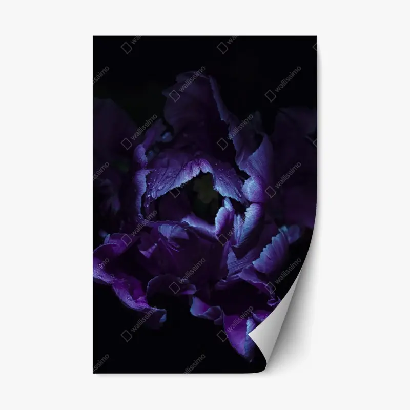 Repositionable sticker purple tulip in ultraviolet glow