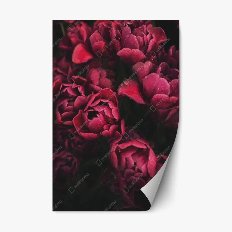 Repositionable sticker deep crimson blooms with raindrops